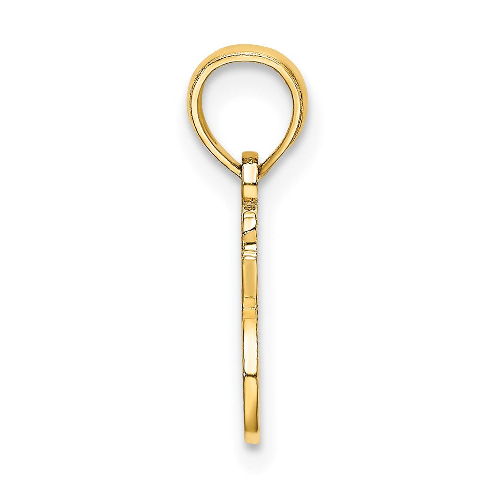 14K Yellow Gold I Heart My Bird Charm