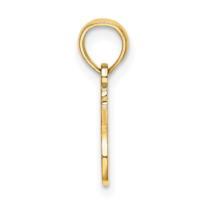 14K Yellow Gold I Heart My Bird Charm