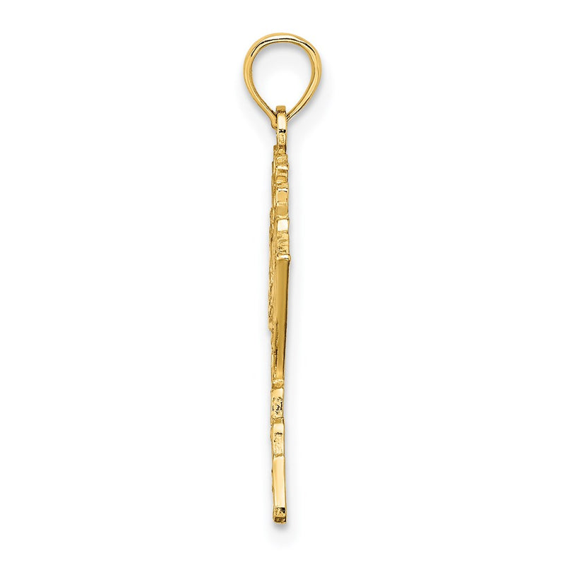 14K Yellow Gold Polished/Textured Alaska Map Charm