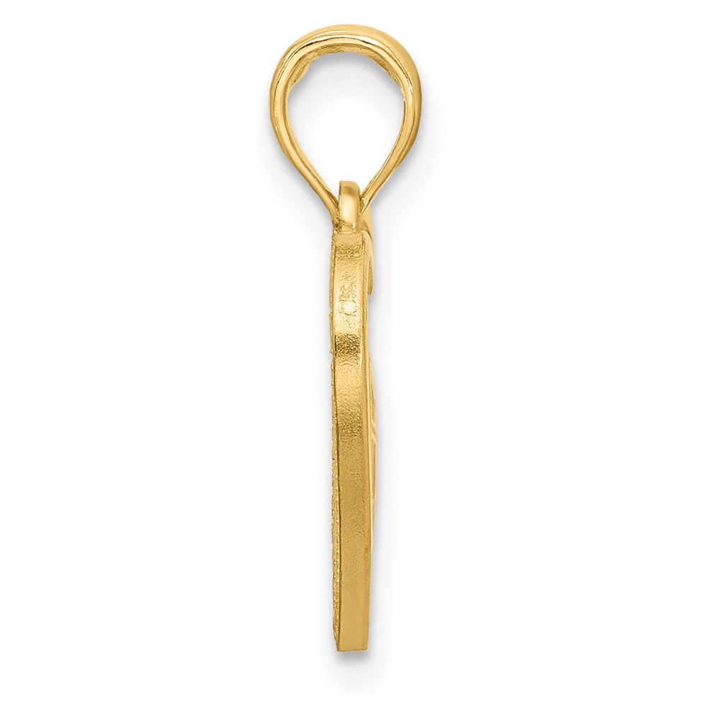 14K Yellow Gold Polished Turtle in Heart Pendant
