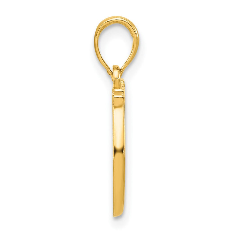 14K Yellow Gold Polished Double Horseshoe Pendant