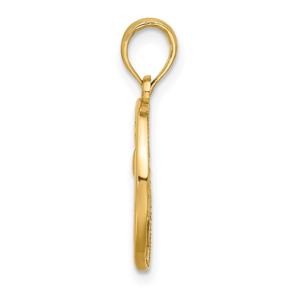 14K Yellow Gold Polished Round Pisces Pendant