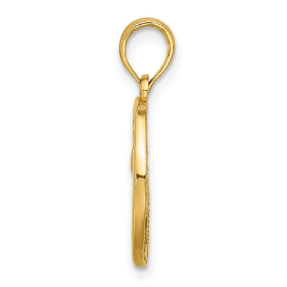 14K Yellow Gold Polished Round Pisces Pendant
