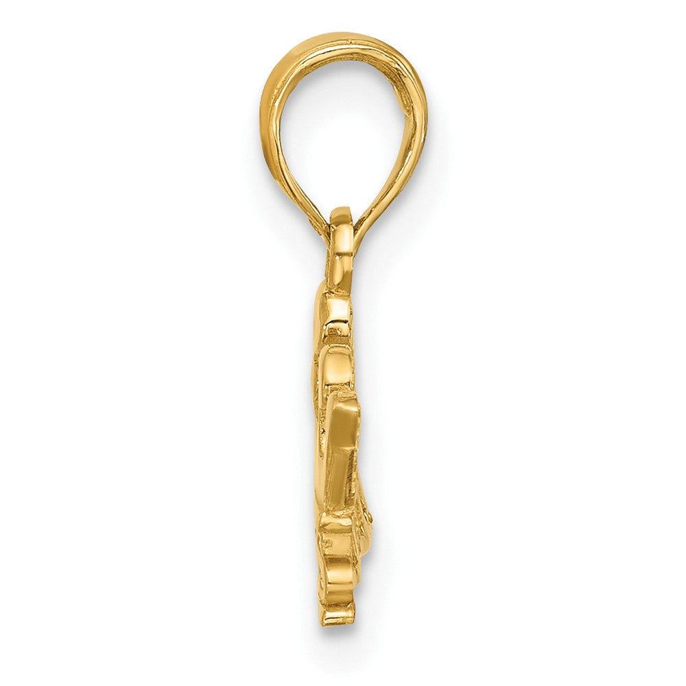 14K Yellow Gold Polished Princess Crown Charm