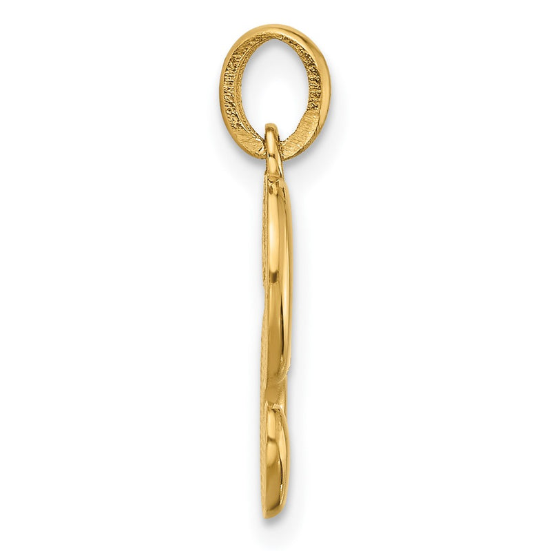 14K Yellow Gold Fancy Letter S