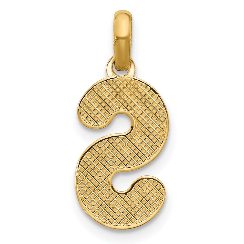 14K Yellow Gold Fancy Letter S