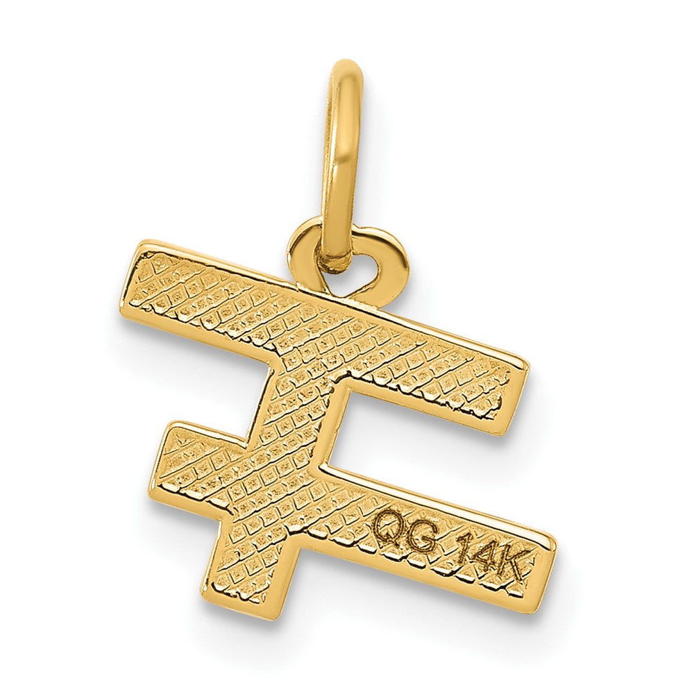 14K Yellow Gold Fancy "girls Rule World
