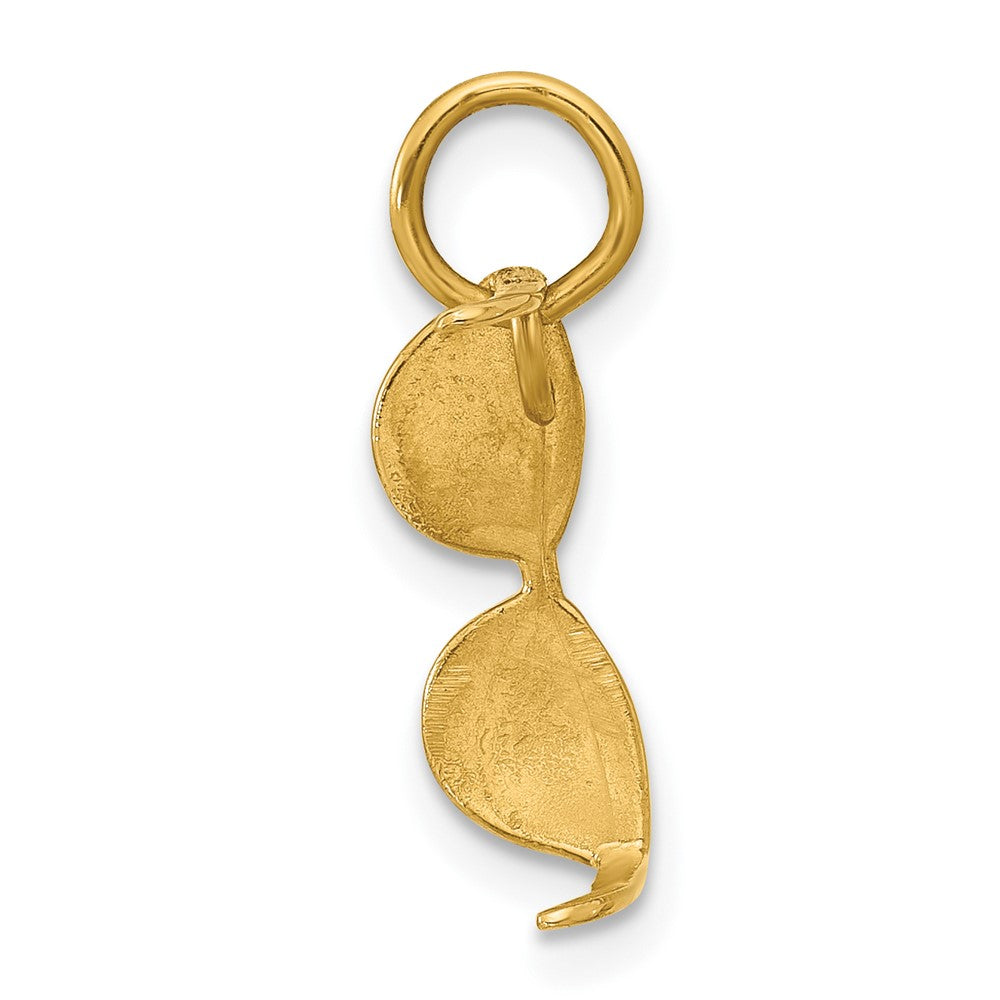 14K Yellow Gold Sunglasses Charm