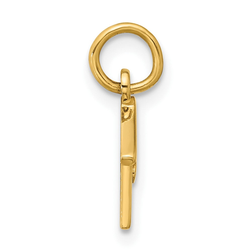 14K Yellow Gold Dog House Charm