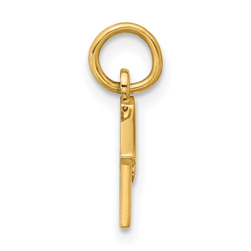 14K Yellow Gold Dog House Charm