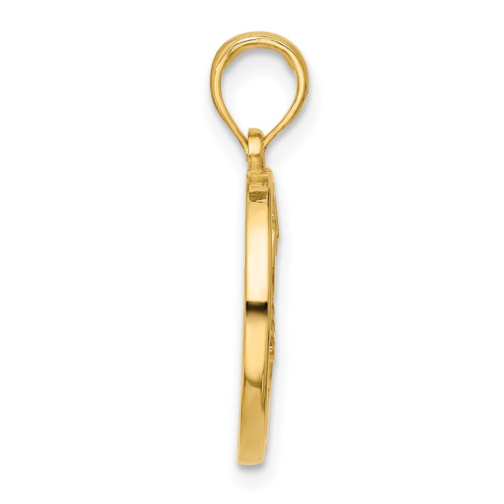 14K Yellow Gold Polished Round Scorpio Pendant