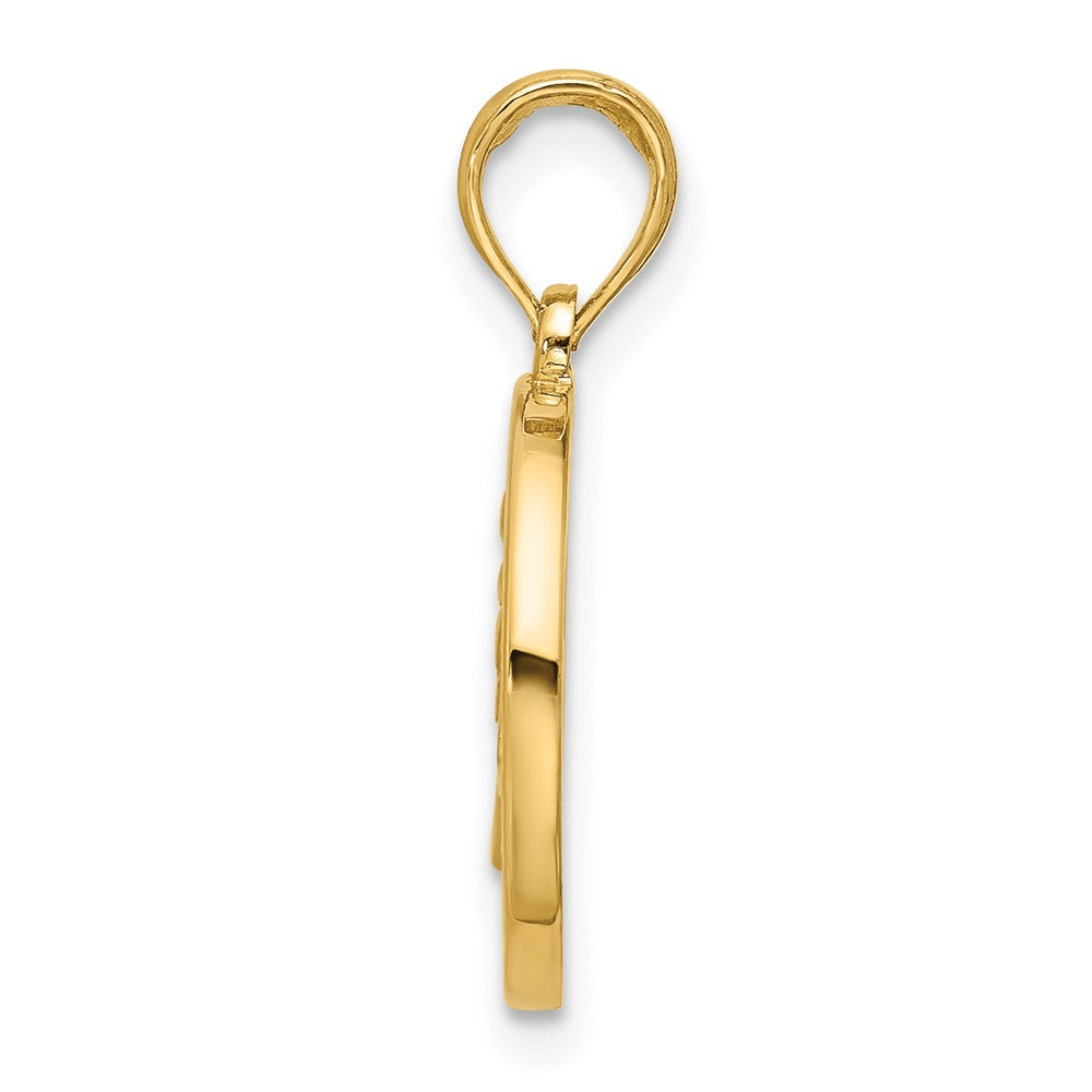 14K Yellow Gold Polished Round Leo Pendant
