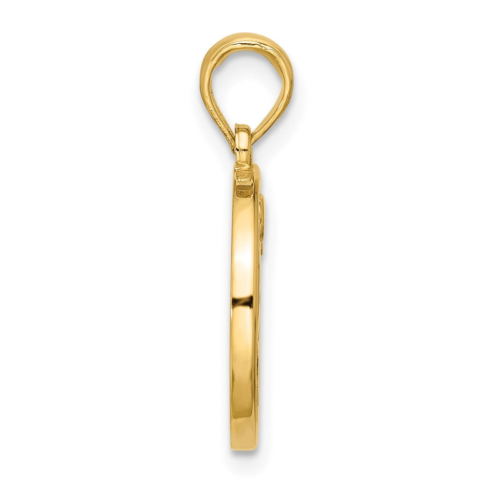14K Yellow Gold Polished Round Aries Pendant