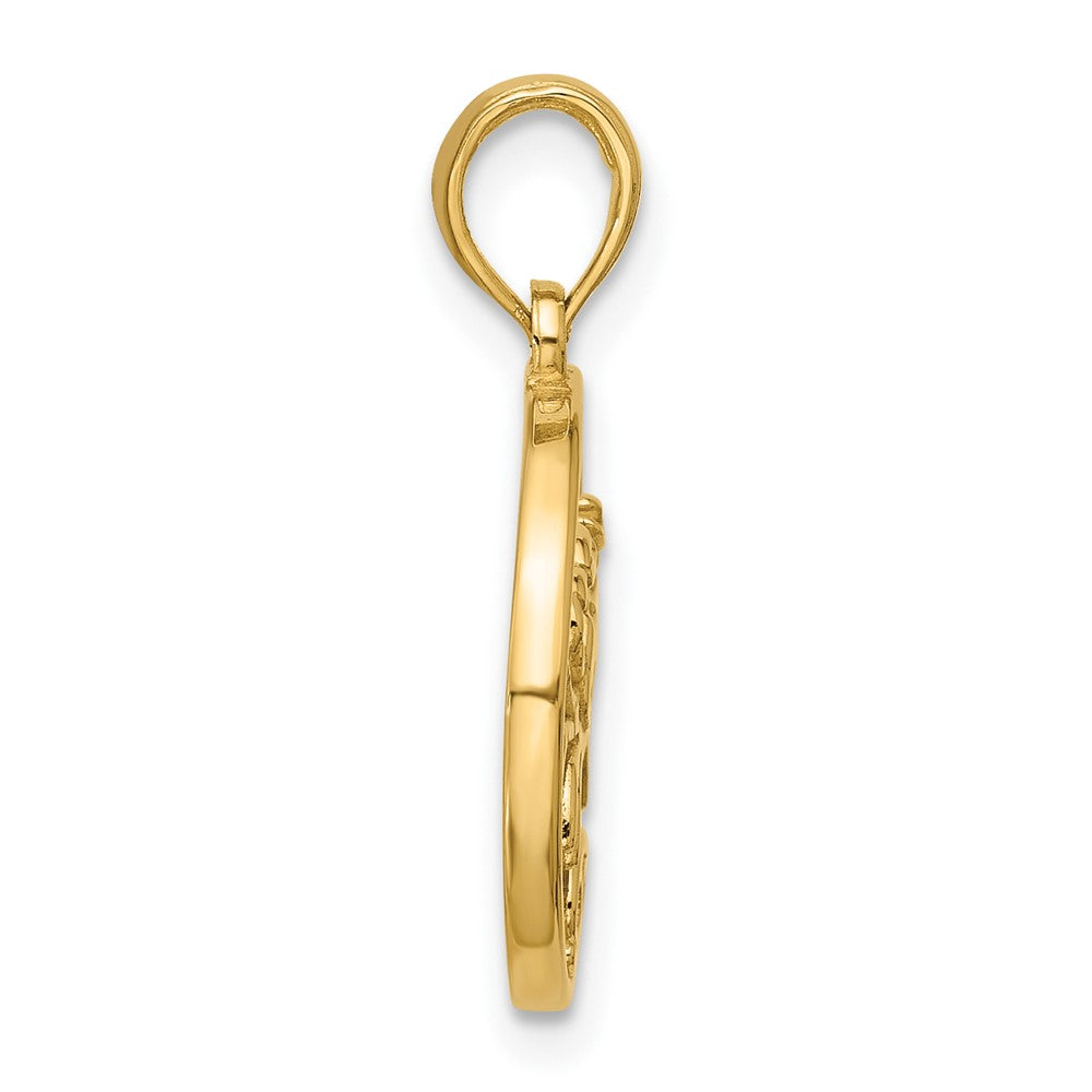 14K Yellow Gold Polished Round Cancer Pendant
