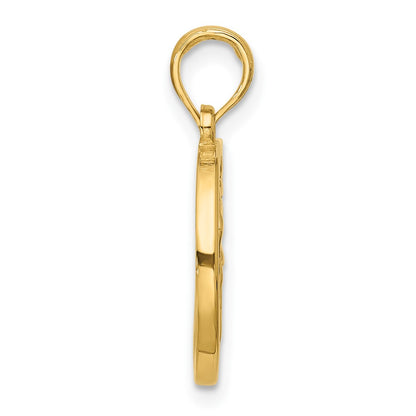 14K Yellow Gold Polished Round Aquarius Pendant