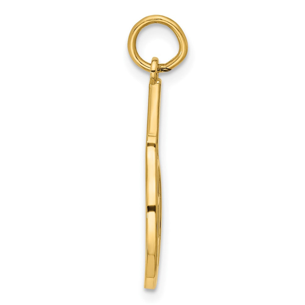 14K Yellow Gold Polished Tennis Racket Pendant