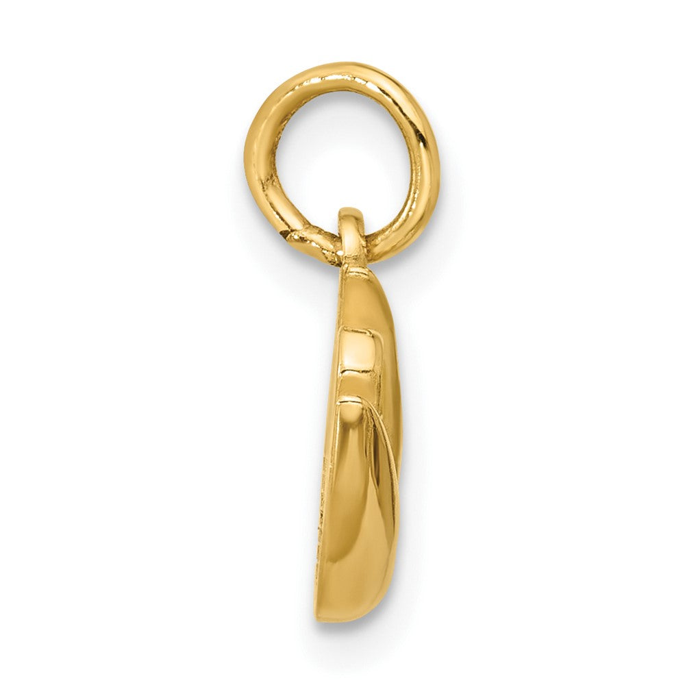 14K Yellow Gold Polished Enameled Pistachio Pendant