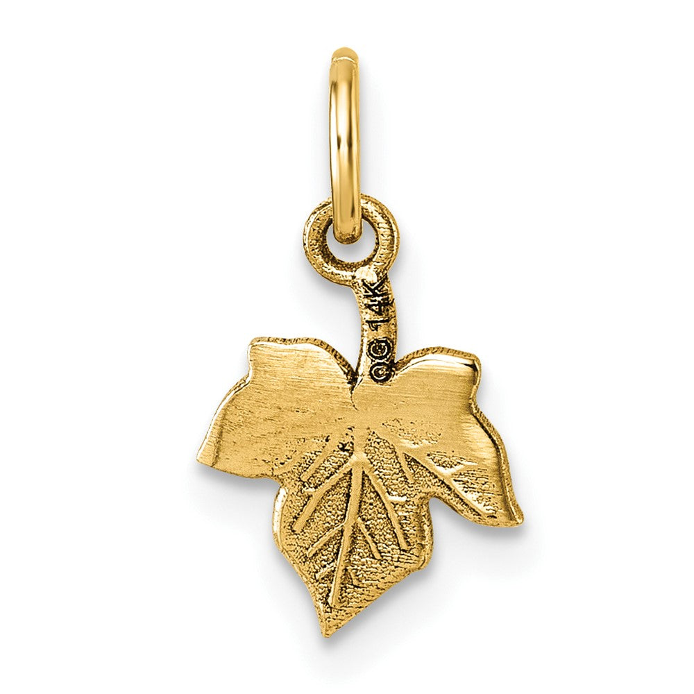 14K Yellow Gold Polished Leaf Pendant