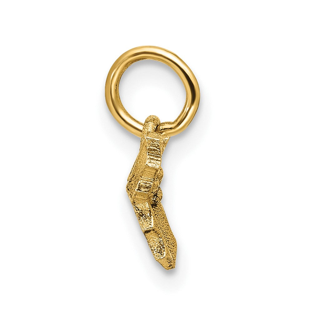 14K Yellow Gold Polished Holly Pendant