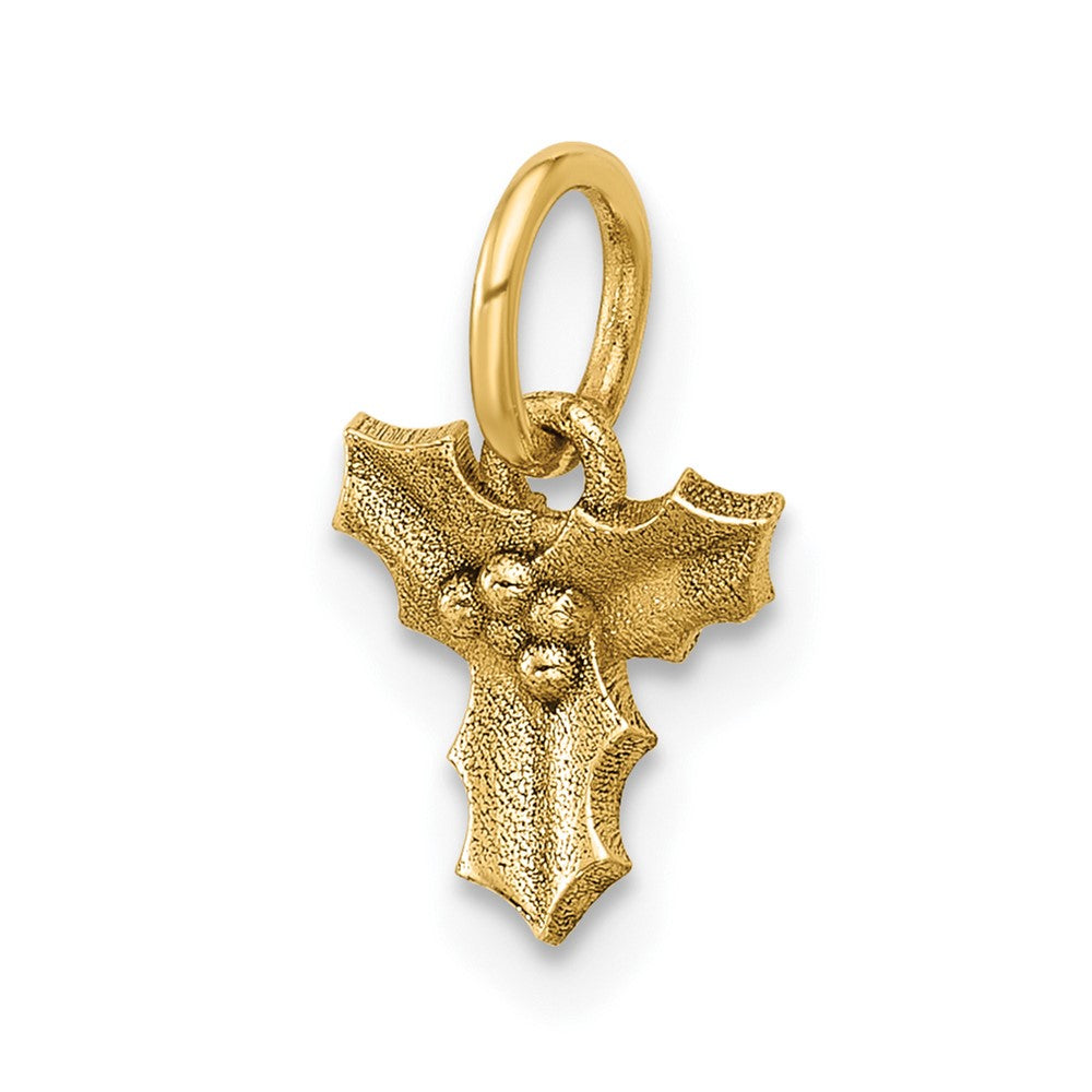 14K Yellow Gold Polished Holly Pendant