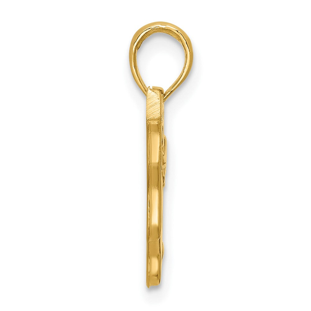 14K Yellow Gold Polished Flying Pig Pendant