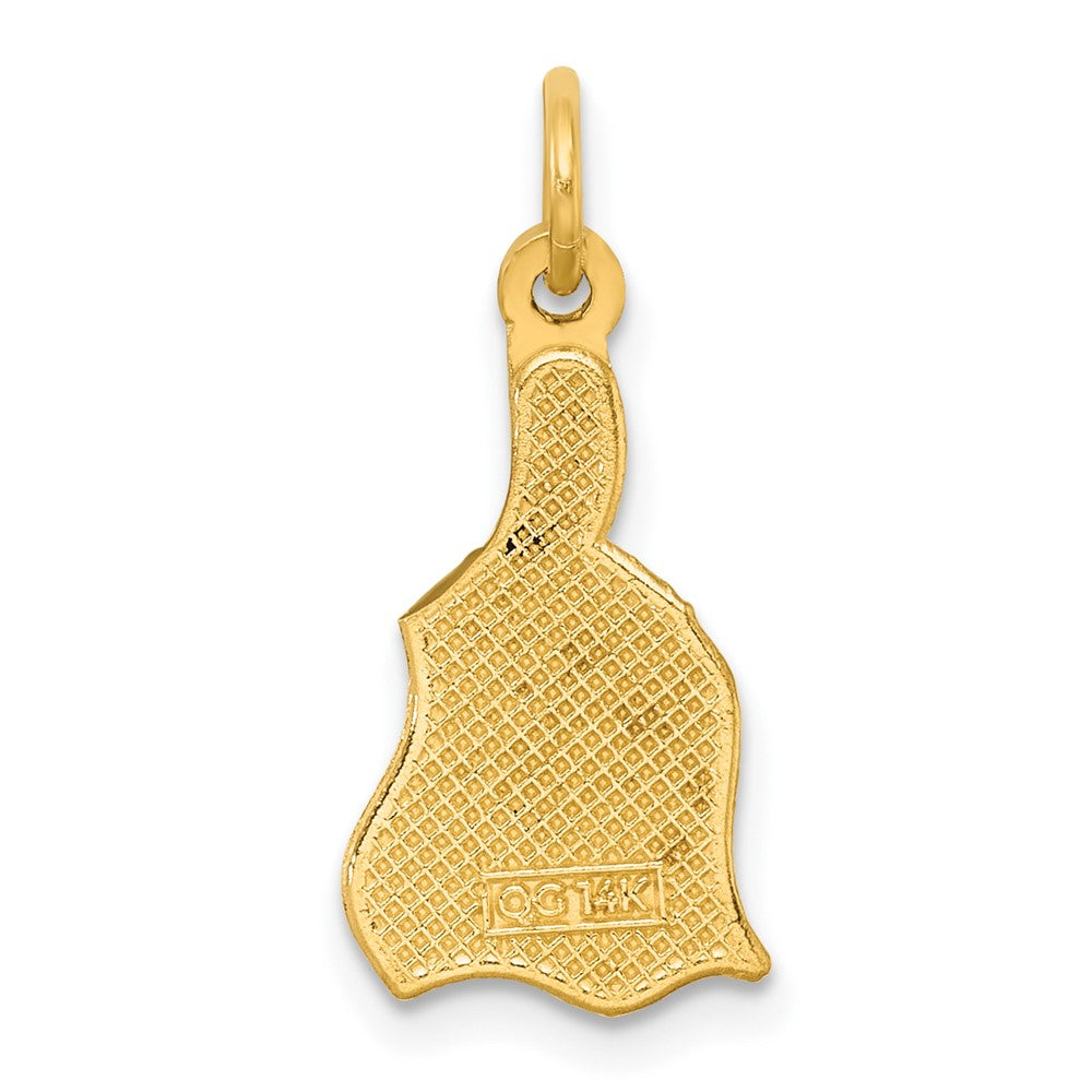 14K Yellow Gold Polished Enameled Rainbow Brush Pendant