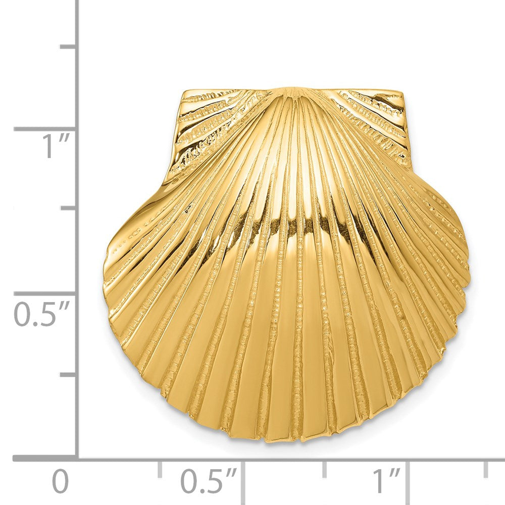 14k Yellow Gold Fits Up To 8mm and 10mm Medium Scallop Shell Slide
