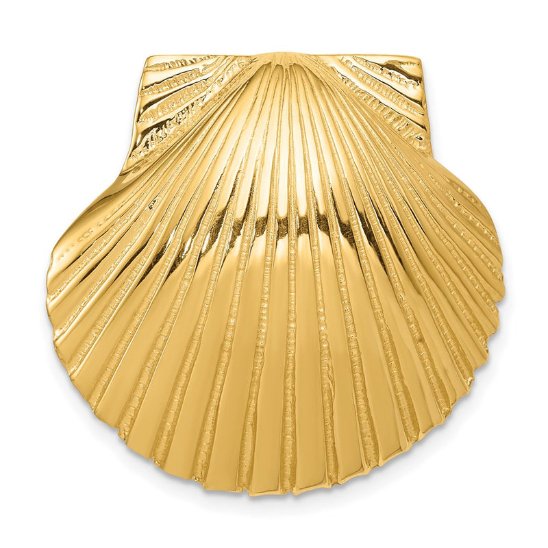 14k Yellow Gold Fits Up To 8mm and 10mm Medium Scallop Shell Slide