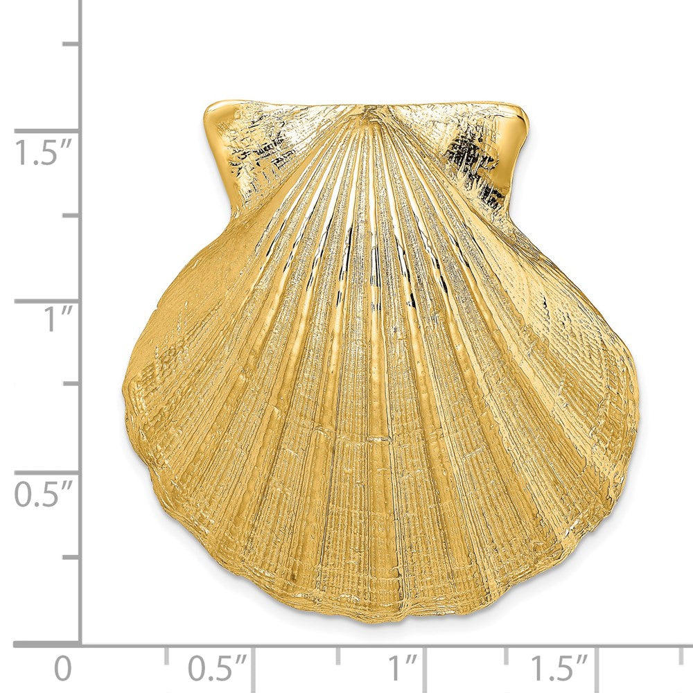 14k Yellow Gold Fits Up To 8mm and 10mm Large Scallop Shell Slide