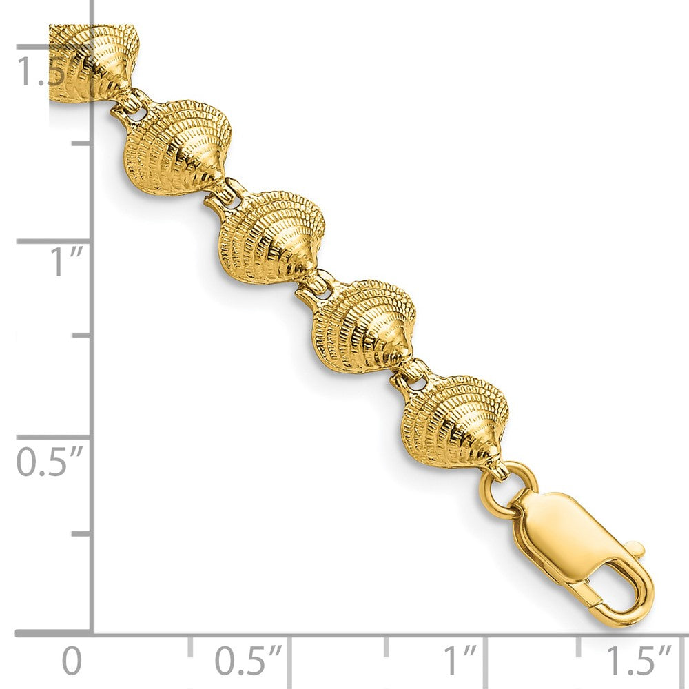 7 Inch 14K Clam Shell Bracelet