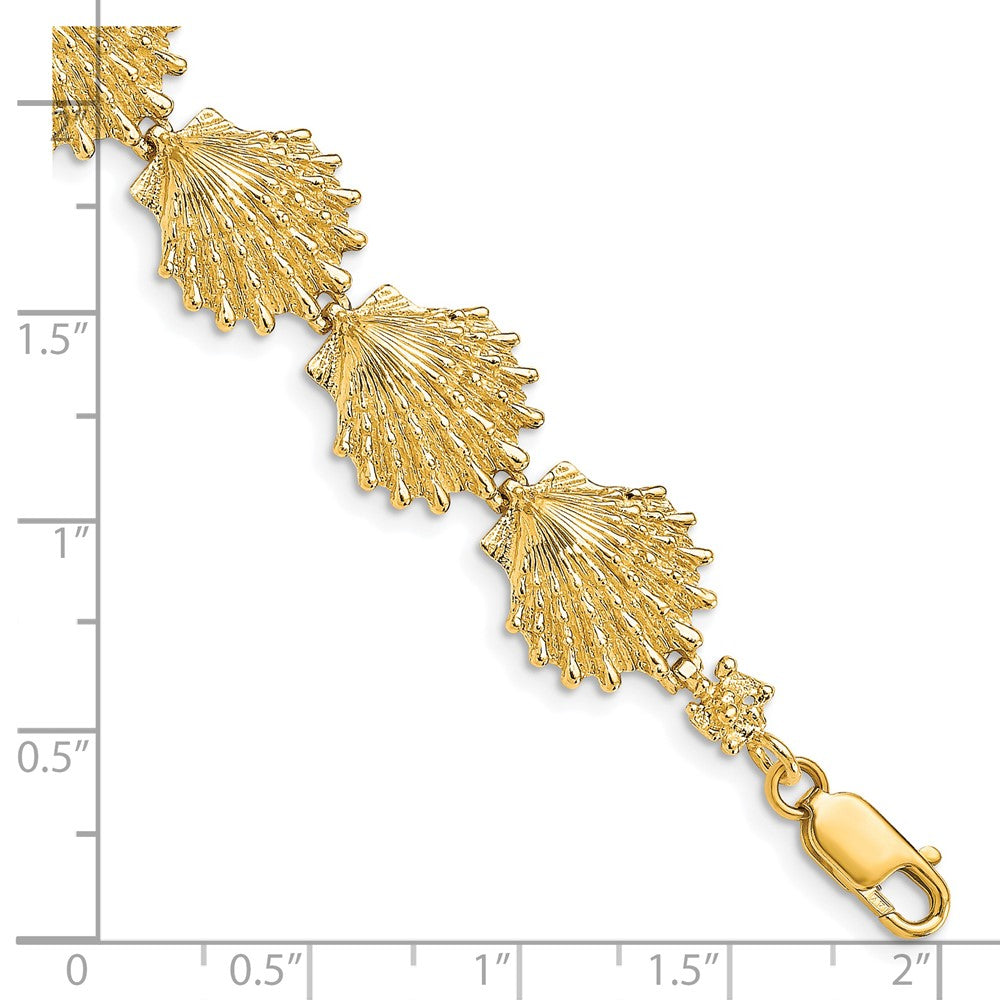7 Inch 14K Lion'S Paw Shell Bracelet