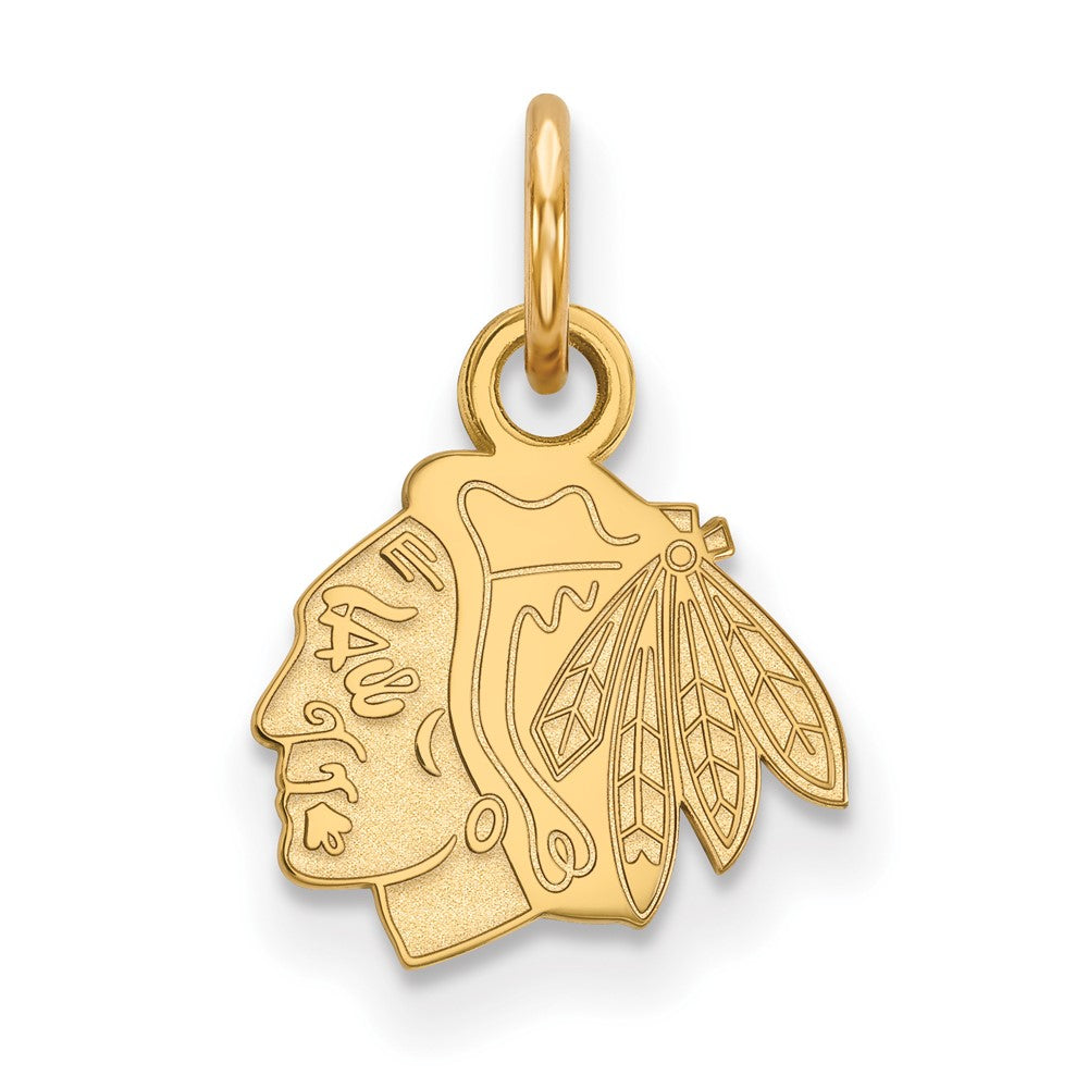 10K Yellow Gold Nhl Logoart Chicago Blackhawks Extra Small Pendant
