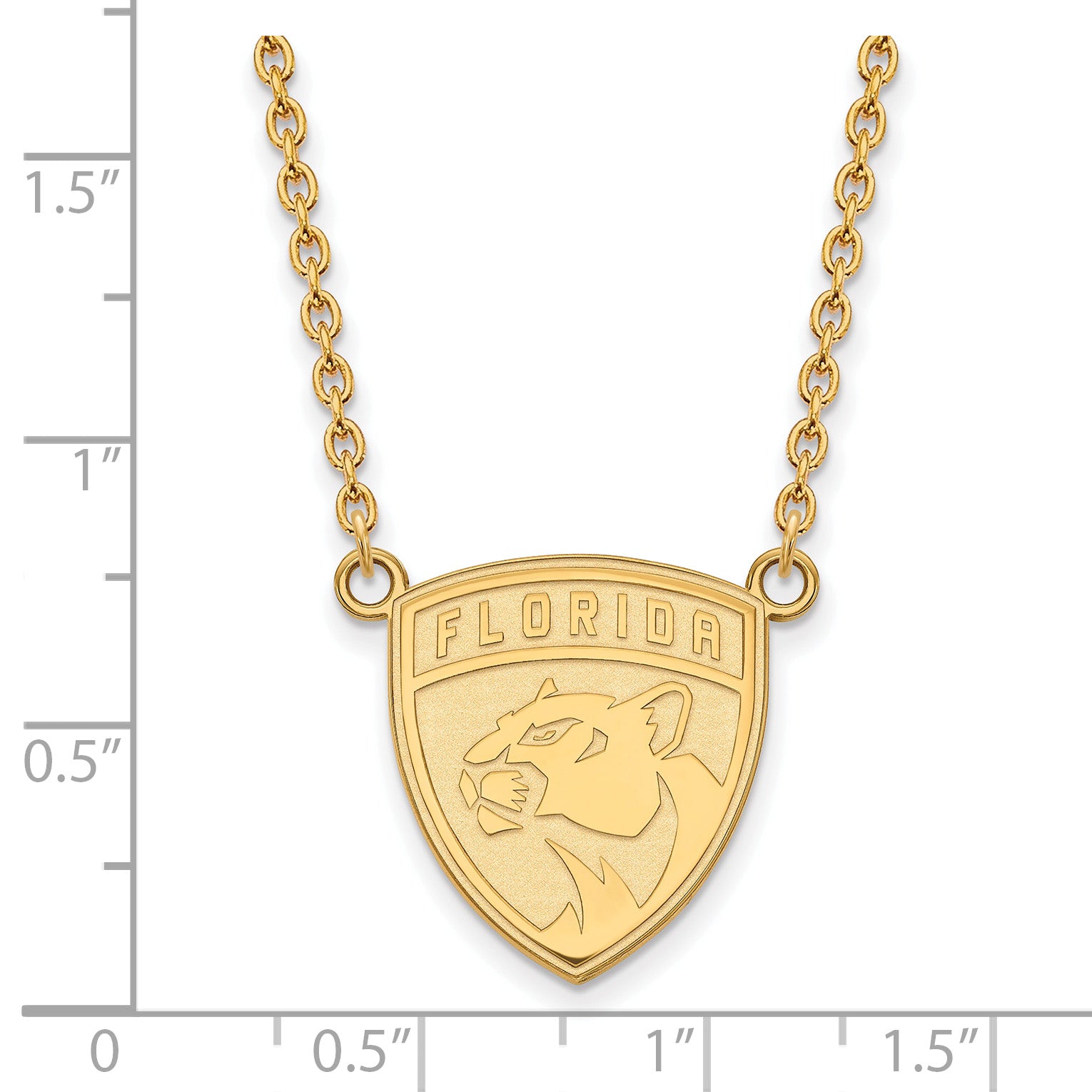 10K Yellow Gold Nhl Logoart Florida Panthers Large Pendant 18 Inch Necklace
