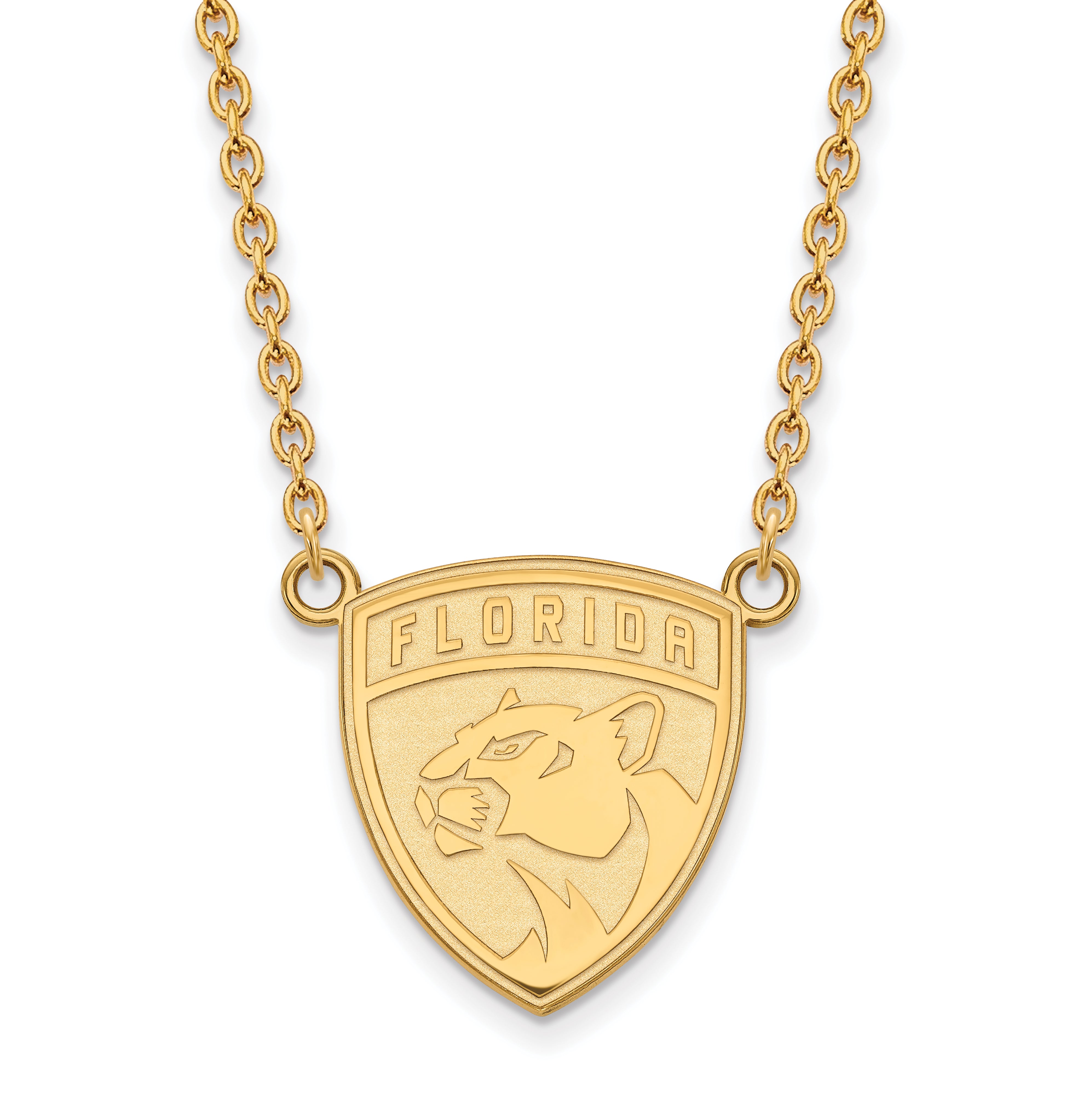 10K Yellow Gold Nhl Logoart Florida Panthers Large Pendant 18 Inch Necklace