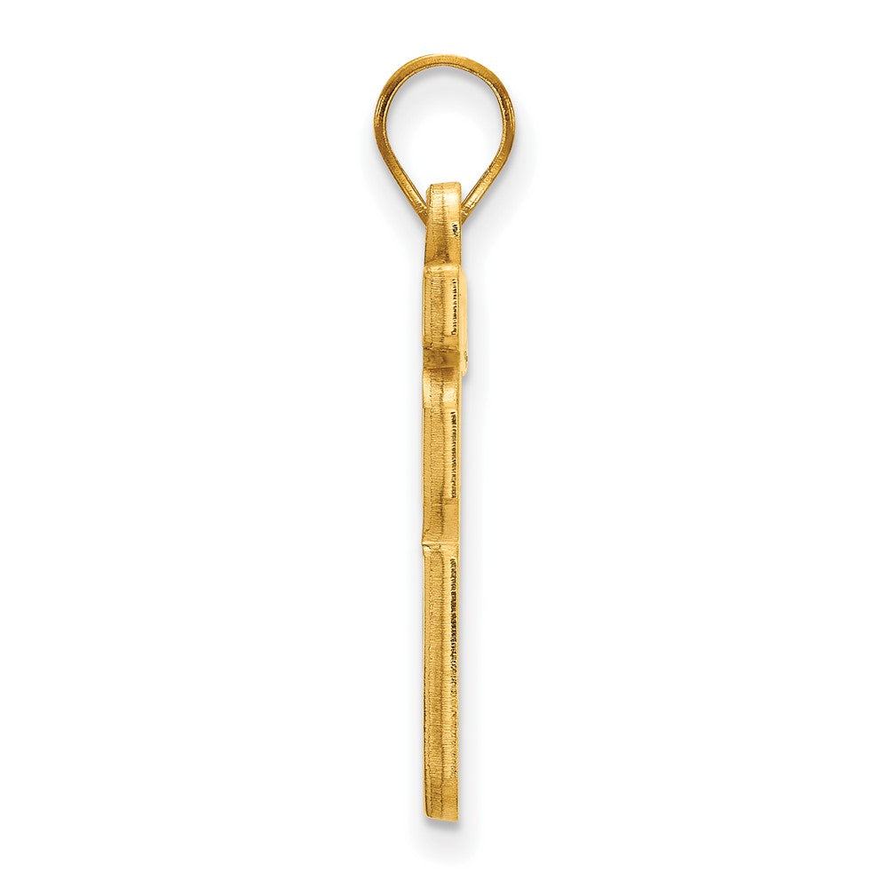 Gold Plated Sterling Silver Gp Logoart Southern Illinois University Large Pendant