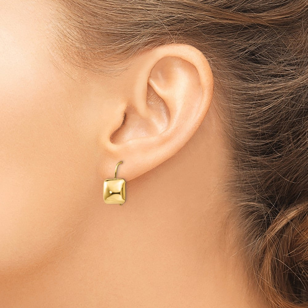 14K Yellow Gold Polished 9.5mm Puffed Square Kidney Wire Earrings