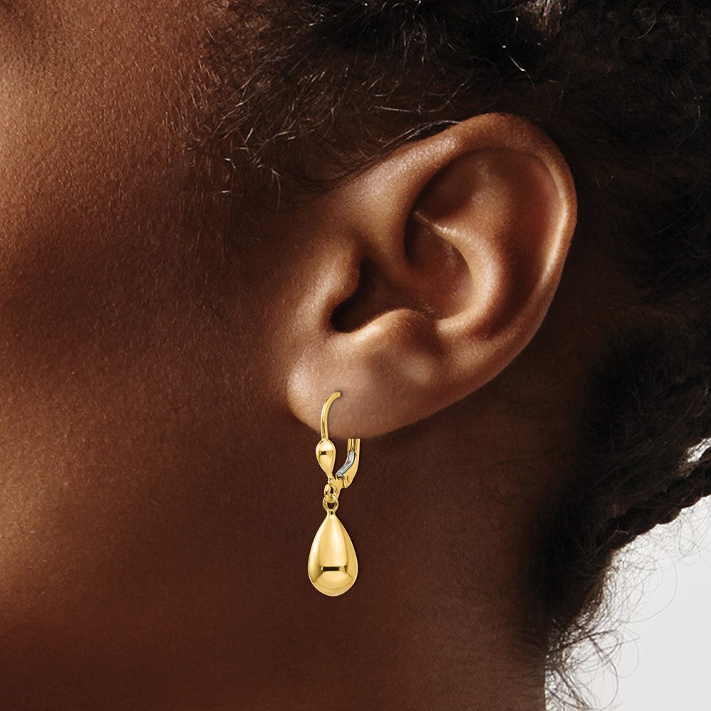 14K Yellow Gold Polished Fancy Dangle Leverback Earrings