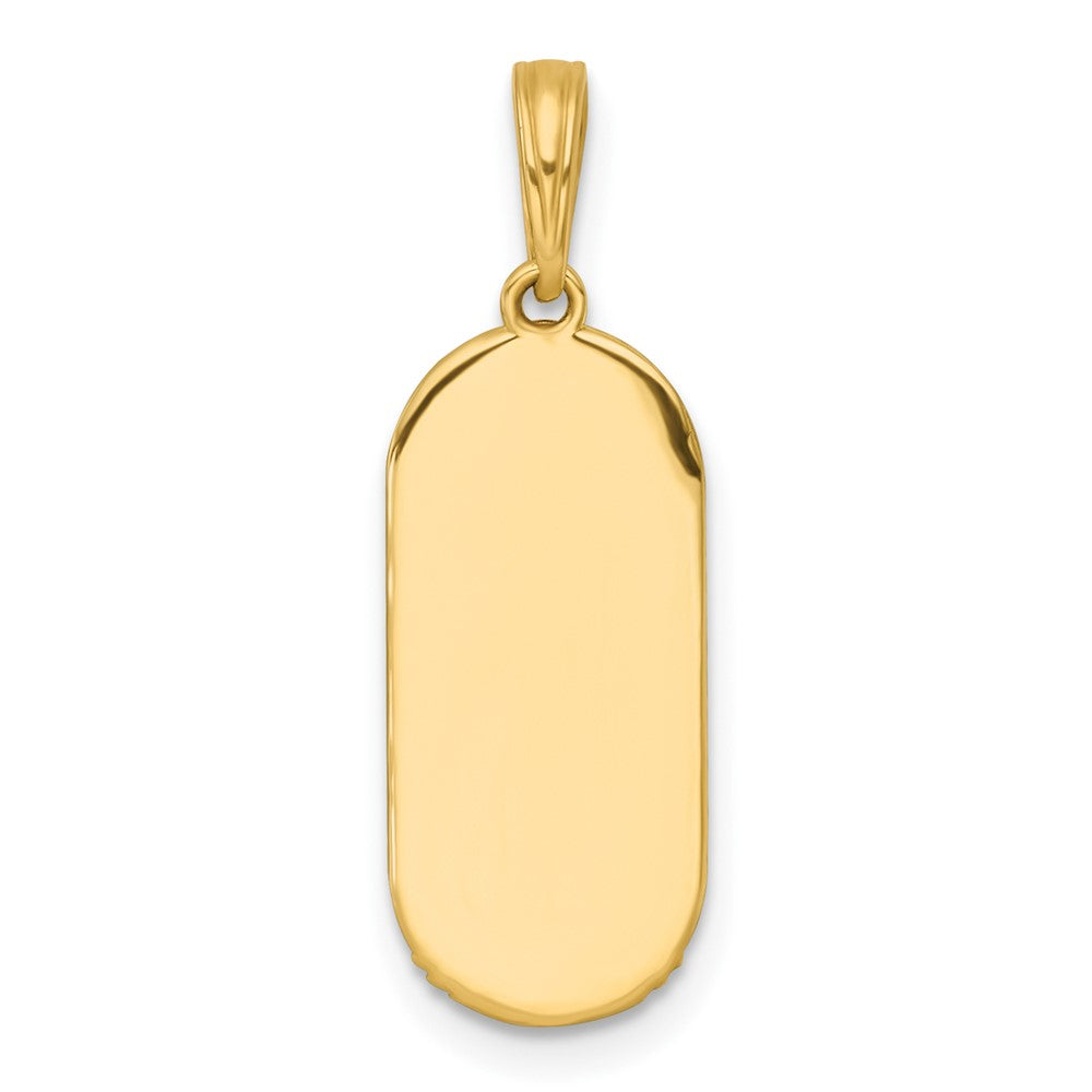 14K Yellow & Rhodium with White Rhodium Polished Enamel Sun and Moon Charm