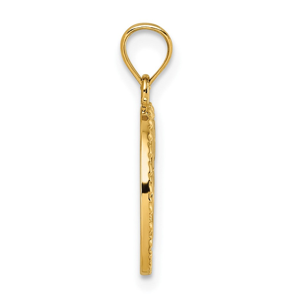 14K Yellow Gold Polished Heart Evil Eye and Horse Shoe in Circle Pendant