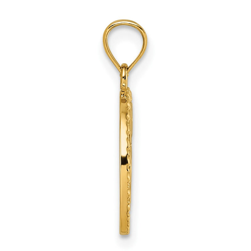 14K Yellow Gold Polished Heart Evil Eye and Horse Shoe in Circle Pendant