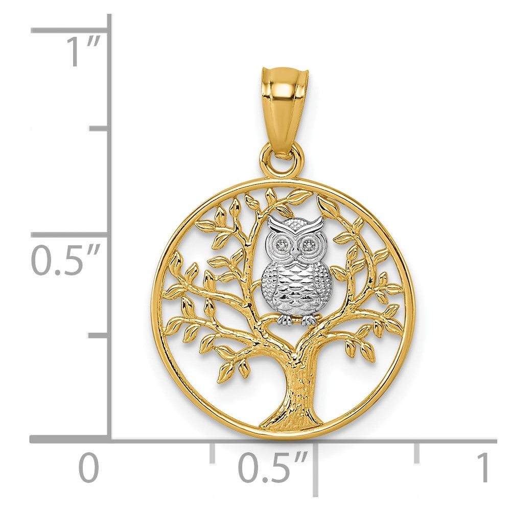 14K Yellow & Rhodium and Rhodium Textured Owl Sitting in Tree in Circle Pendant