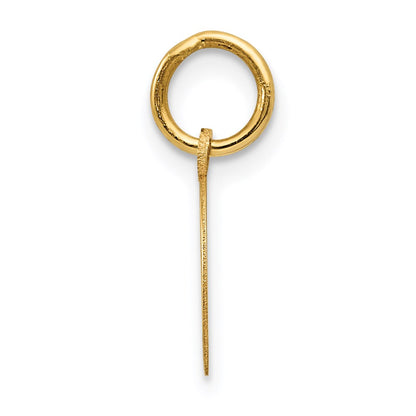 14K Yellow Gold Horseshoe Charm