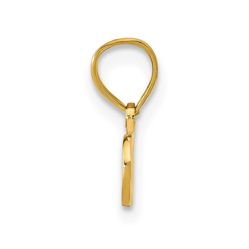 14K Yellow Gold Spoiled Pendant
