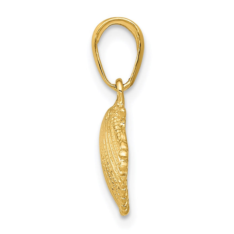 14K Yellow Gold Scallop Shell Pendant