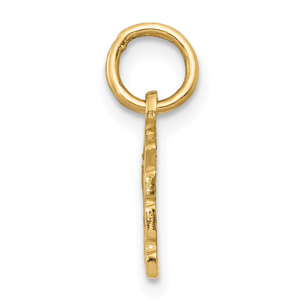 14K Yellow Gold Swiss Cheese Charm
