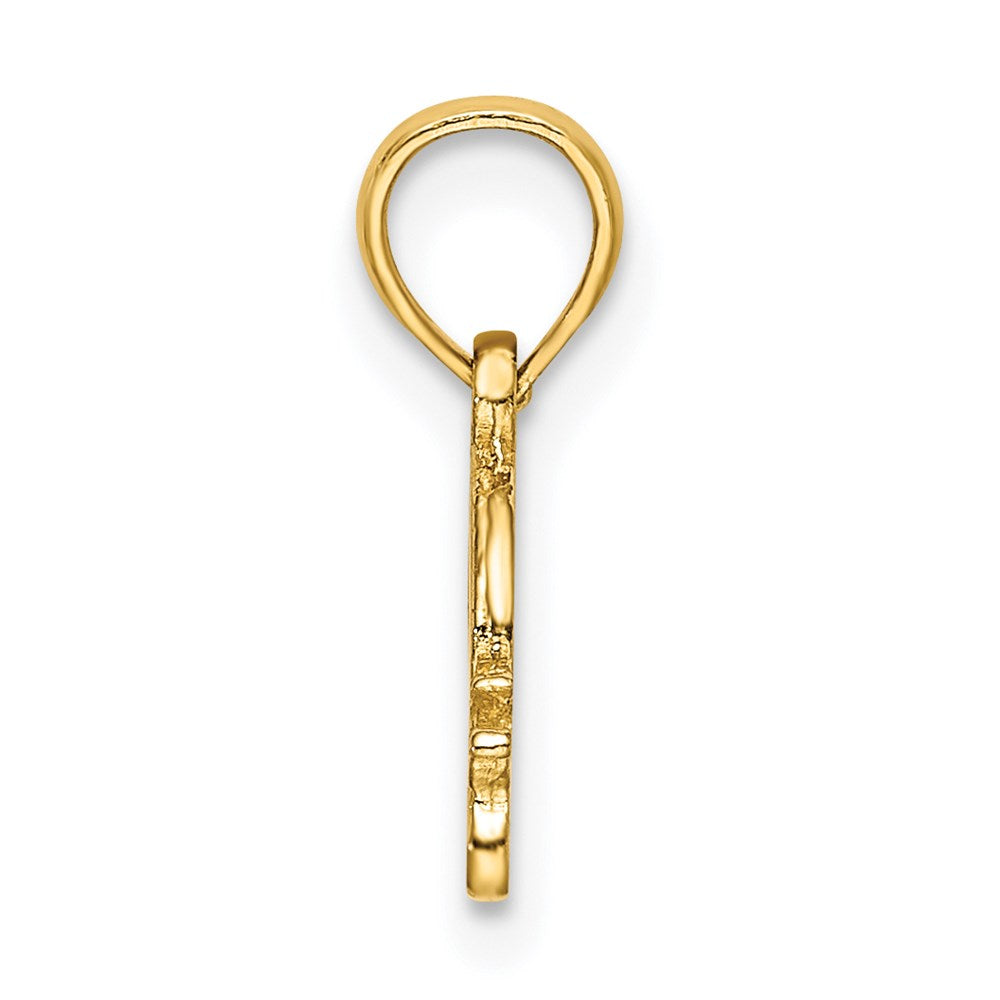 14K Yellow Gold Textured Mini Snail Charm