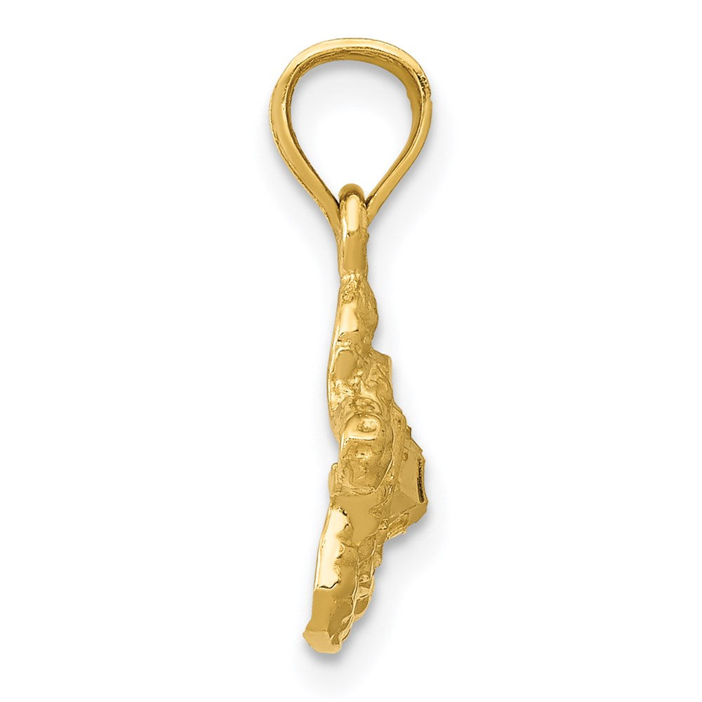 14K Yellow Gold Turtle Pendant