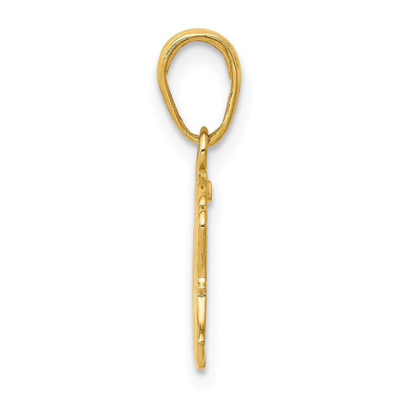 14K Yellow Gold Textured Elephant Pendant