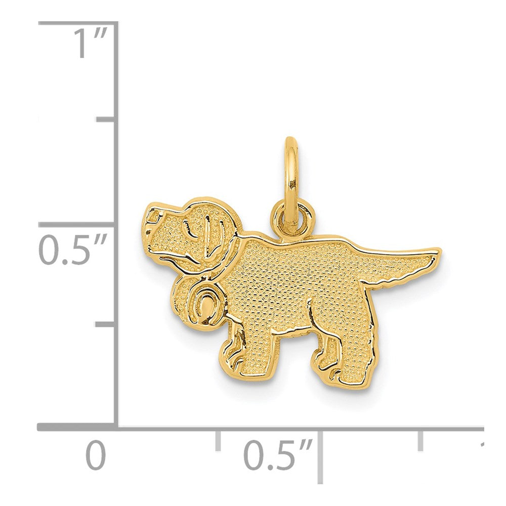 14K Yellow Gold Saint Bernard Charm