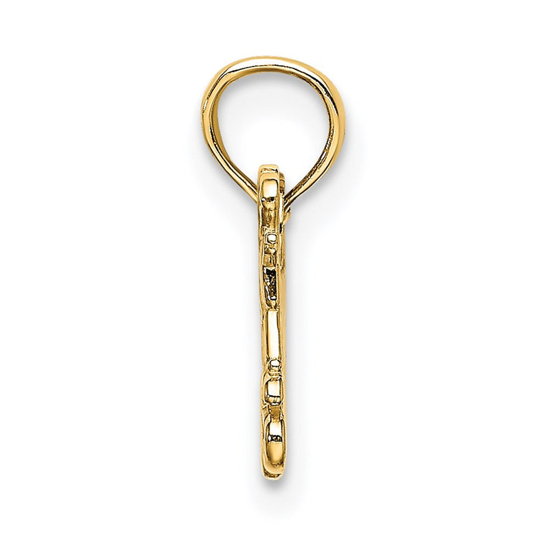 14K Yellow Gold I Love My Grandkids Charm